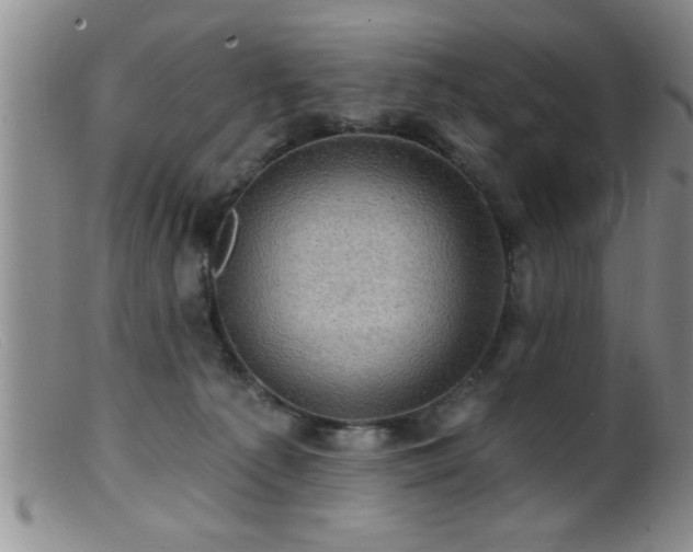 X0000099450225200805161030