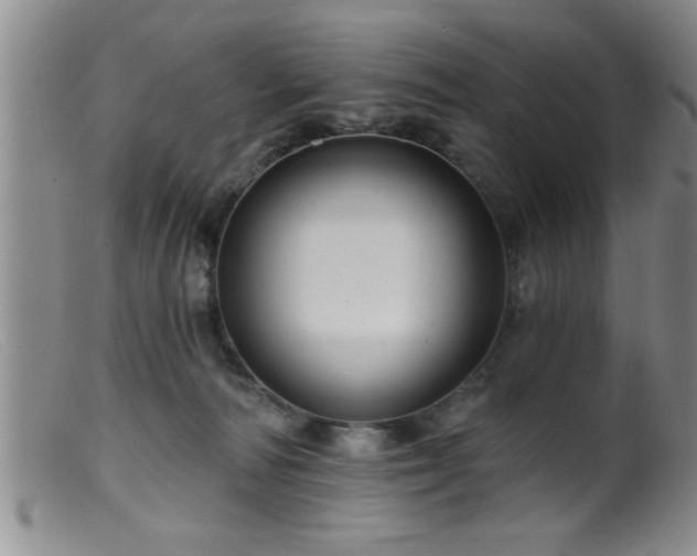 X0000099450226200805161030