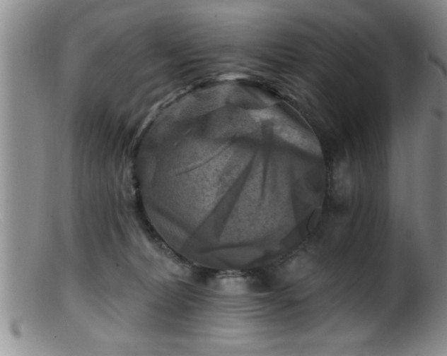 X0000099450228200805161030