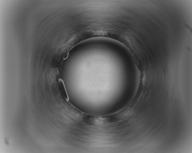 X0000099450229200805161030