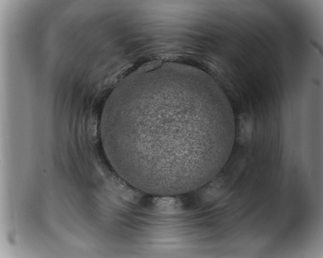 X0000099450230200805161030