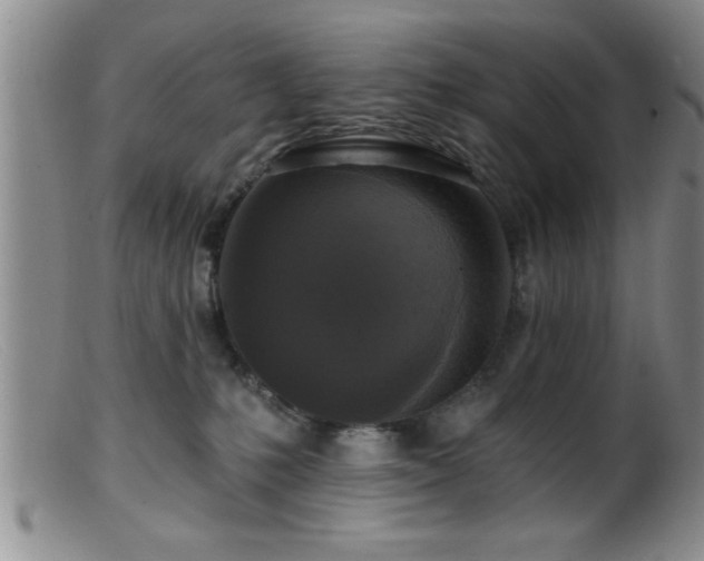 X0000099450231200805161030