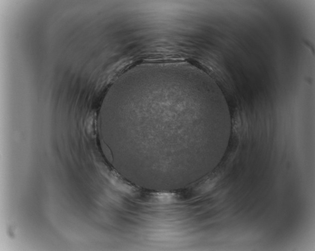 X0000099450233200805161030