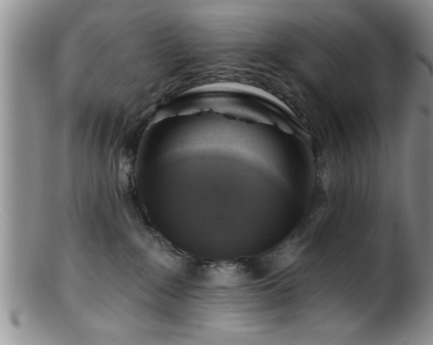 X0000099450235200805161030