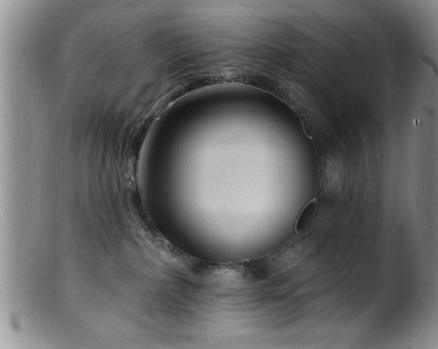 X0000099450236200805161030