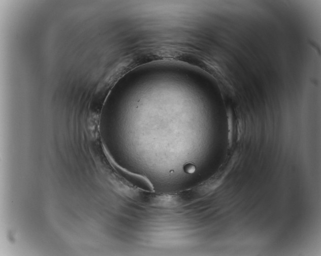 X0000099450237200805161030