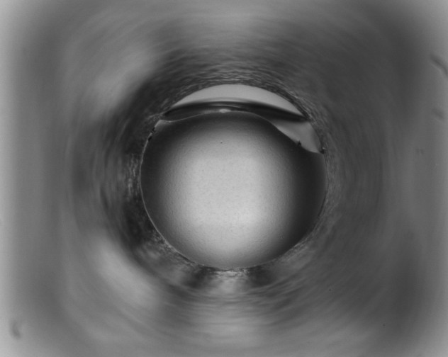 X0000099450240200805161030