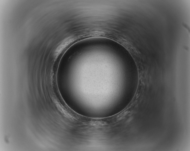 X0000099450242200805161029