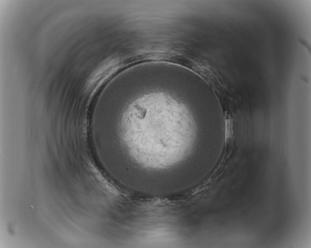 X0000099450243200805161029