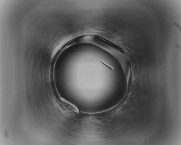 X0000099450244200805161029