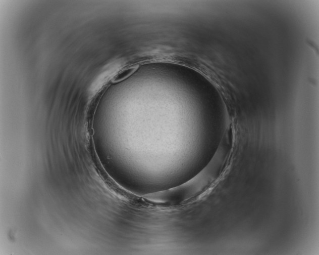 X0000099450245200805161029