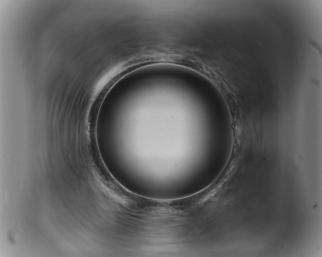 X0000099450246200805161029