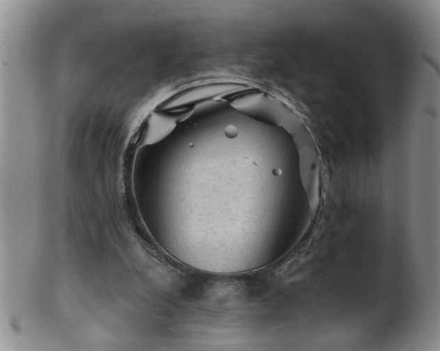 X0000099450248200805161029