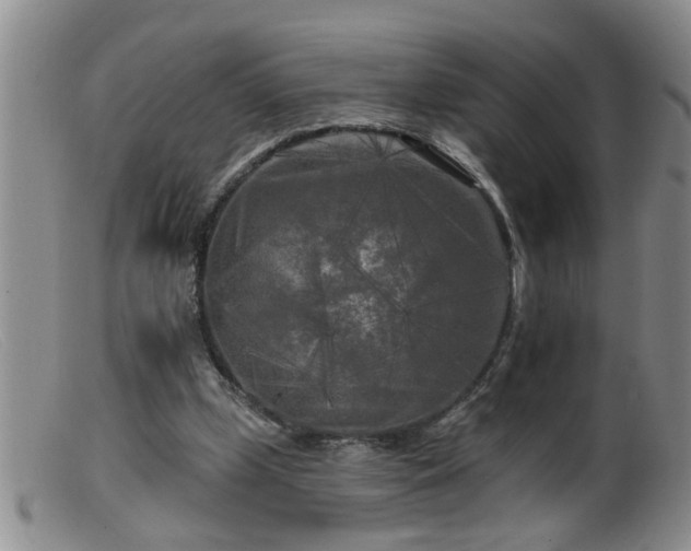 X0000099450249200805161029