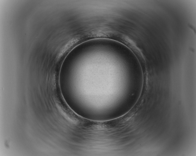 X0000099450250200805161029