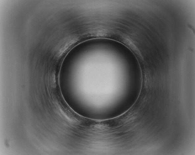 X0000099450251200805161029