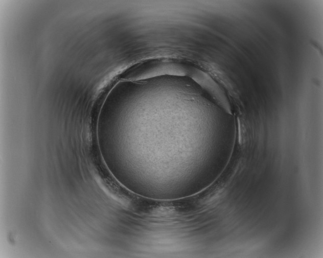 X0000099450252200805161029