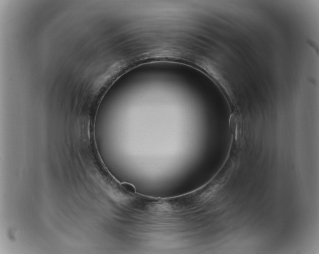 X0000099450253200805161029