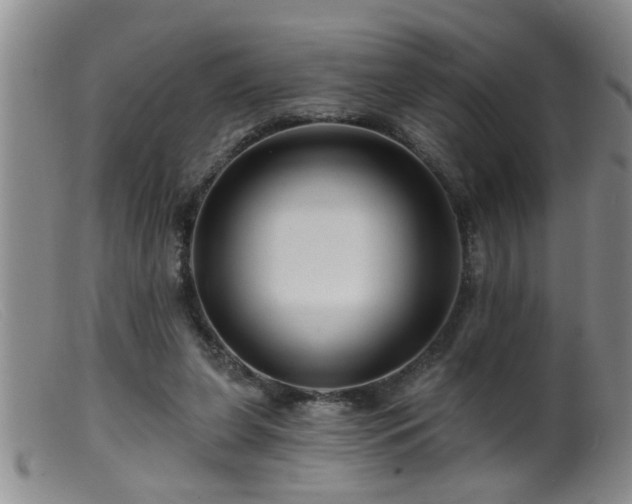 X0000099450255200805161029