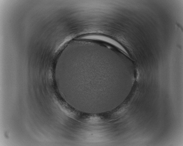 X0000099450256200805161029