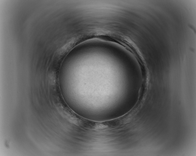 X0000099450257200805161029