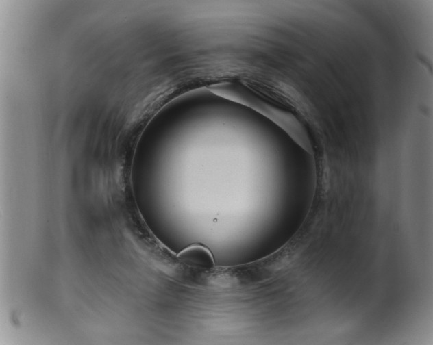 X0000099450258200805161029