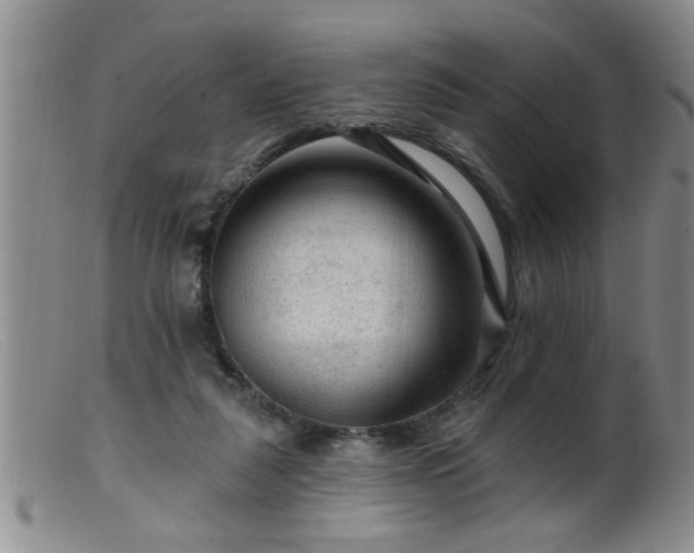 X0000099450259200805161029