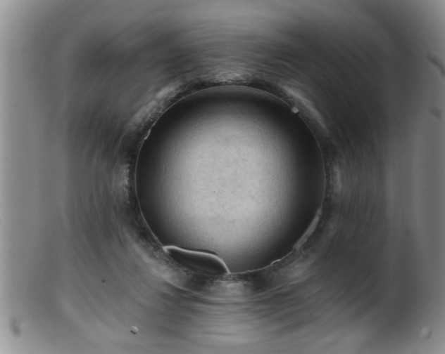 X0000099450260200805161029