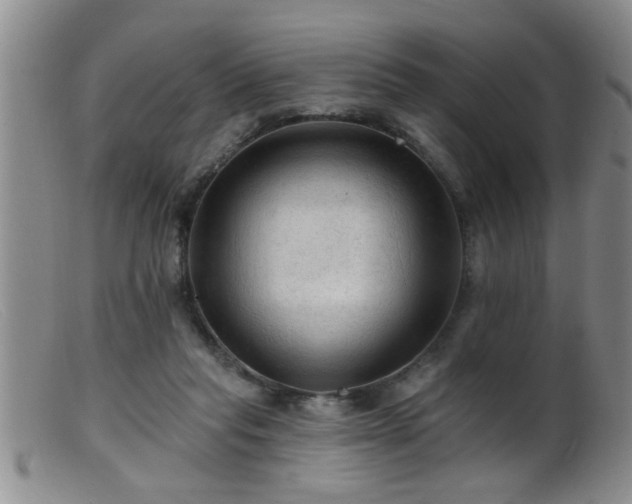 X0000099450261200805161029