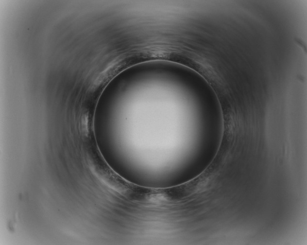 X0000099450262200805161029