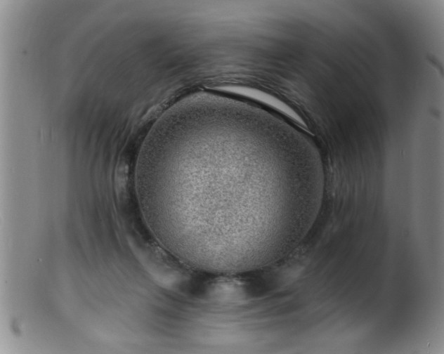 X0000099450263200805161029