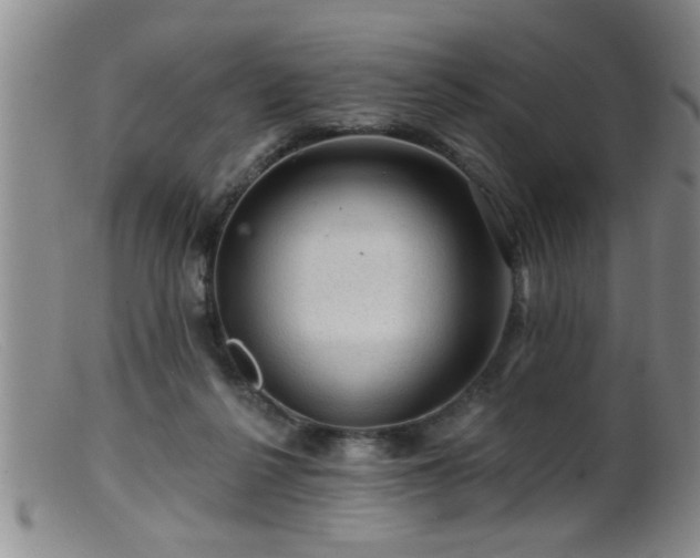 X0000099450264200805161029