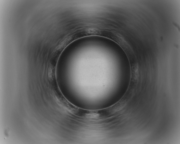 X0000099450266200805161029