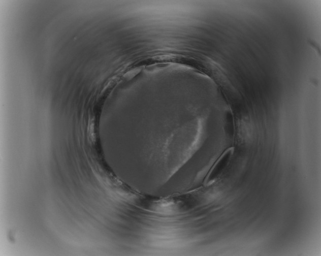 X0000099450267200805161029