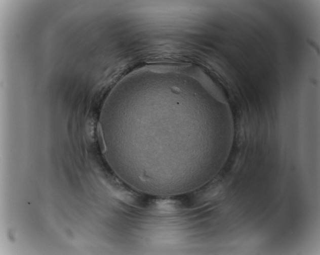 X0000099450268200805161029