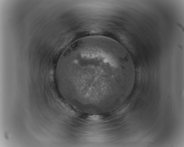 X0000099450269200805161029