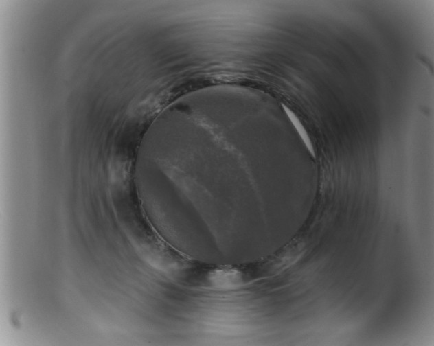 X0000099450271200805161029