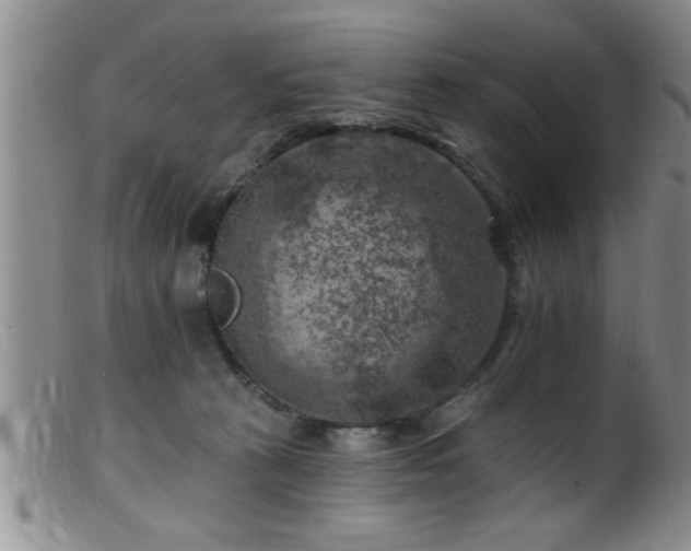 X0000099450273200805161029