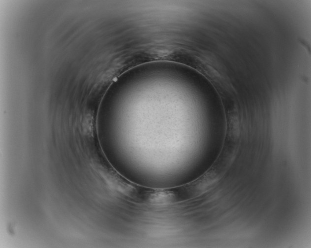 X0000099450274200805161029