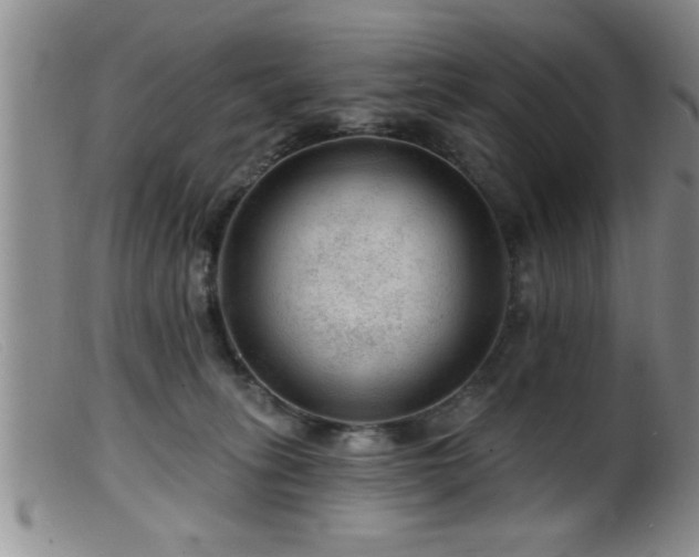 X0000099450275200805161029