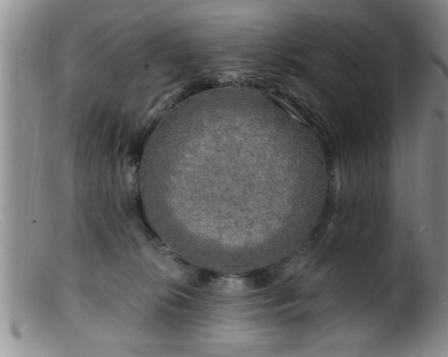 X0000099450276200805161029