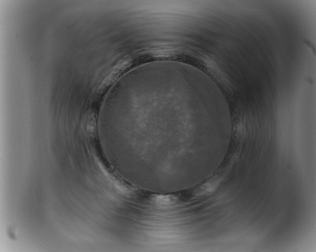 X0000099450277200805161029