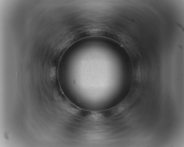 X0000099450278200805161029