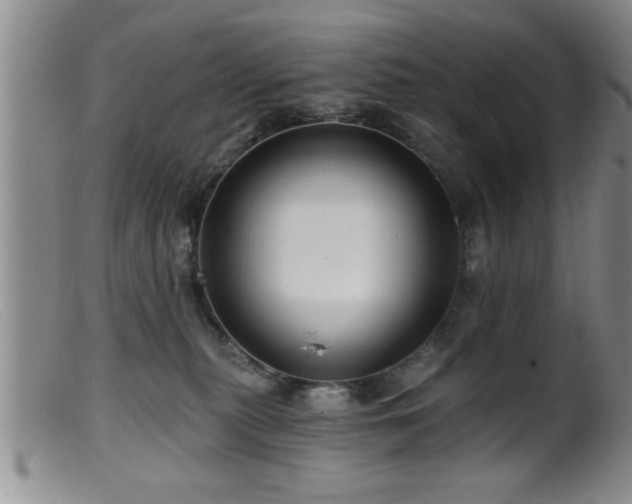 X0000099450279200805161030