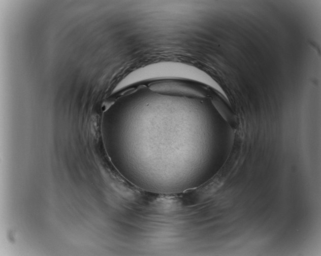 X0000099450280200805161030