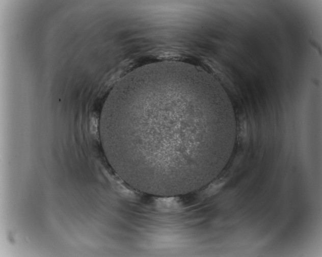 X0000099450281200805161030