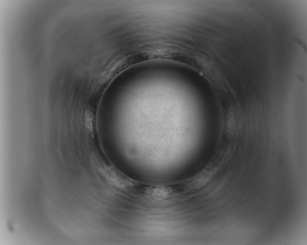 X0000099450282200805161030