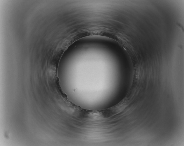 X0000099450283200805161030