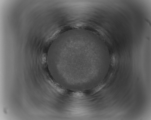 X0000099450284200805161030