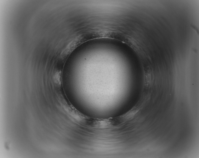 X0000099450286200805161030